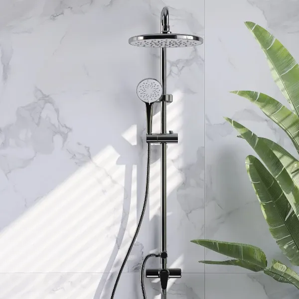 showerhead and removable showerhead mounted by the wall