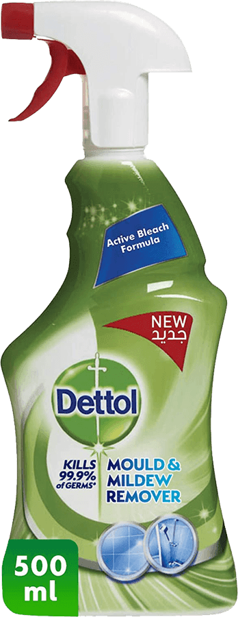 Dettol Mould & Mildew Remover Spray Original