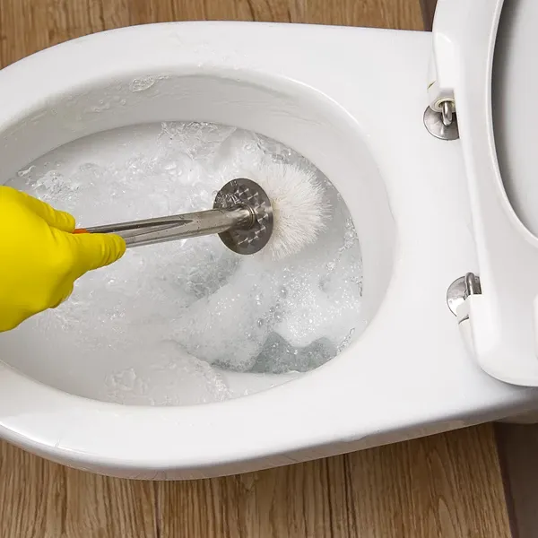 How To Clean Toilet Seat