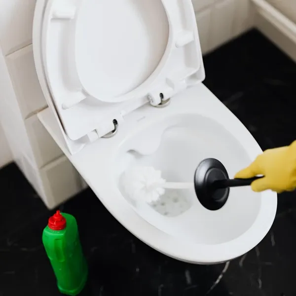 Toilet cleaning