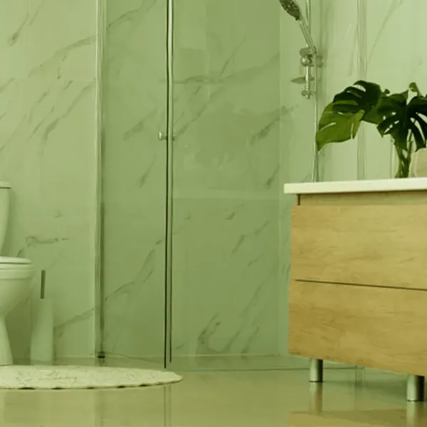Bathroom hygiene and infection control