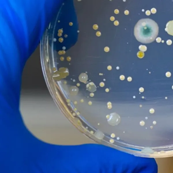 Germs 101